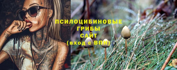 кокс Белокуриха