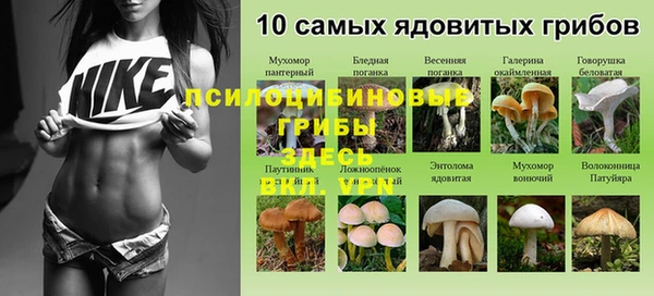 кокс Белокуриха