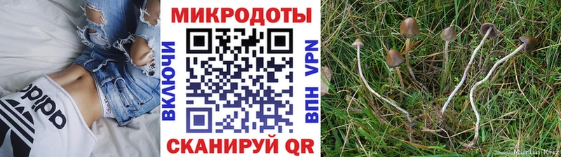 Галлюциногенные грибы Cubensis  сайты даркнета наркотические препараты  Пионерский  купить  цена 