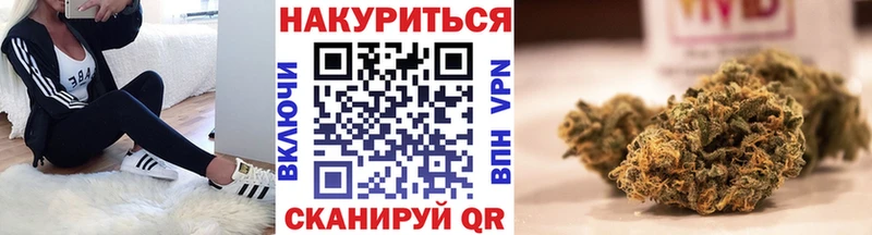 shop клад  магазин продажи наркотиков  кракен вход  Пионерский  Канабис семена 